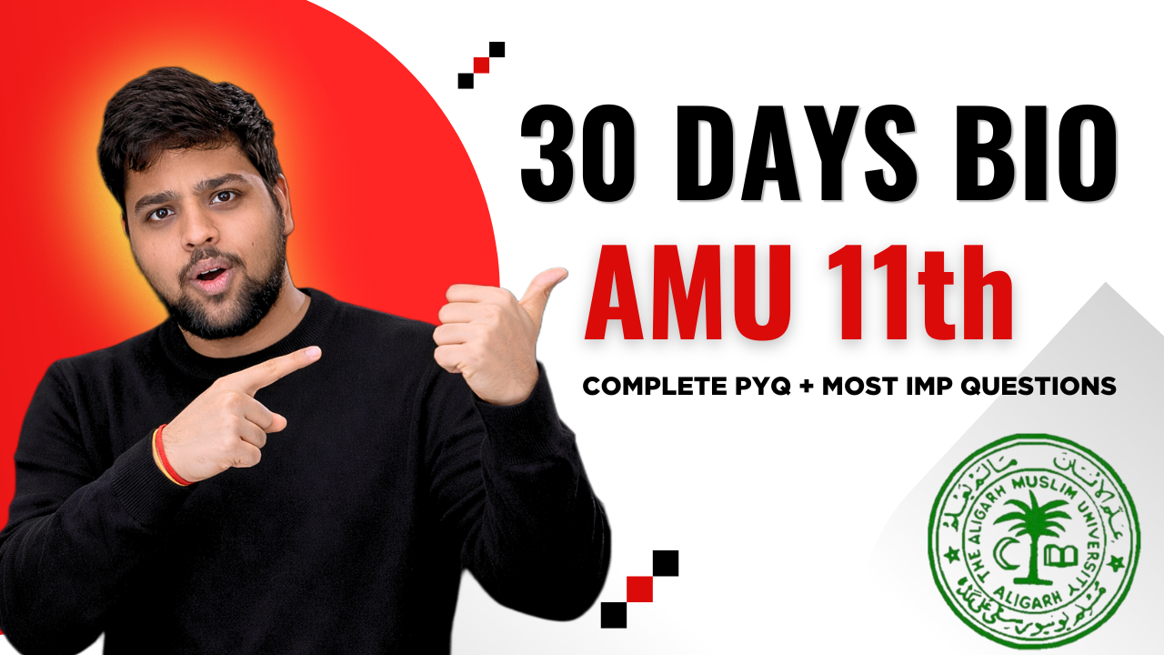 Happy Alpha Classes Students